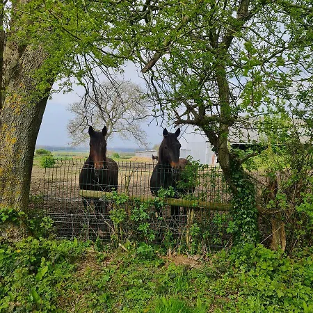 La Longère D'ecottes Couette-café